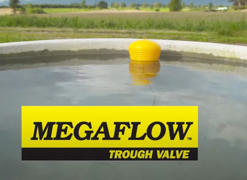 MegaFlow Float Valve In Trough. 